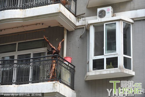 凌潇肃唐一菲武汉完婚 婚礼低调