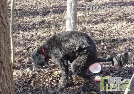 内有妖气，小心慎入！