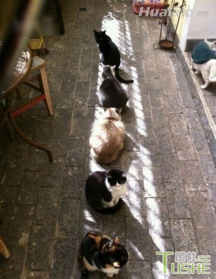 内有妖气，小心慎入！