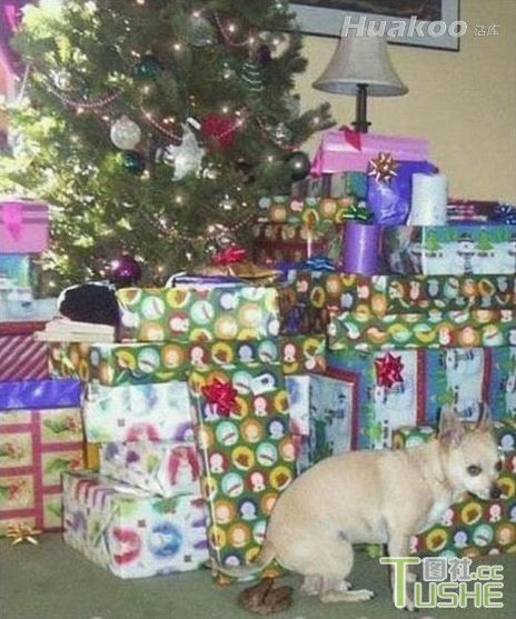 小心！雷瞎你的钛合金狗眼！