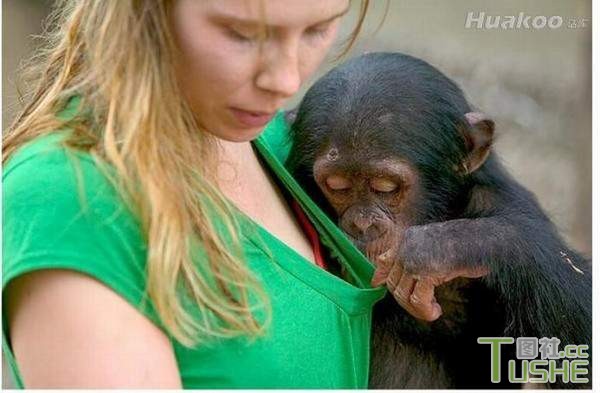 极品之人 真是神一般的存在啊