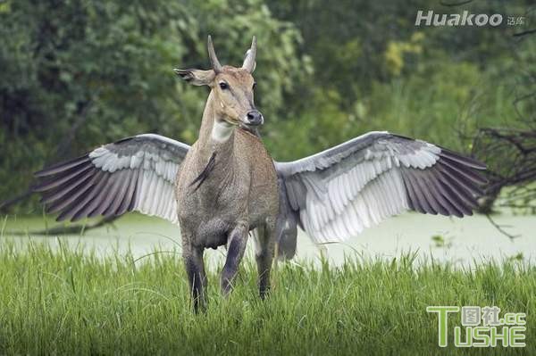 极品之人 真是神一般的存在啊