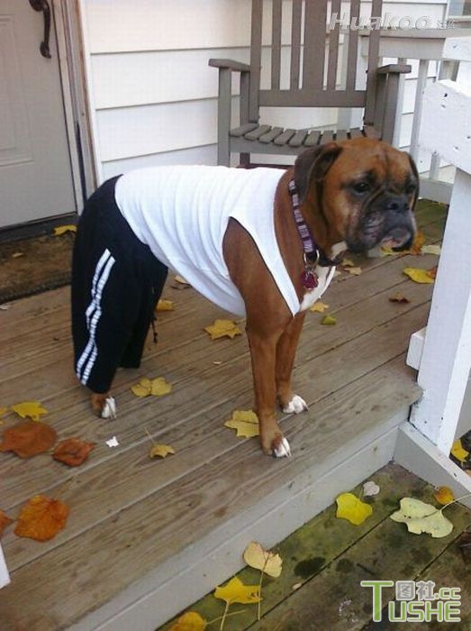 淫才真是太多了！