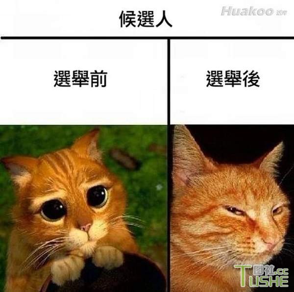 淫才真是太多了！