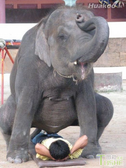 淫才真是太多了！