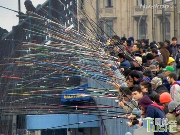 淫才真是太多了！