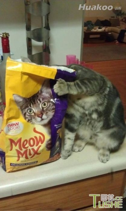 搞笑图也很刺激 真受不了