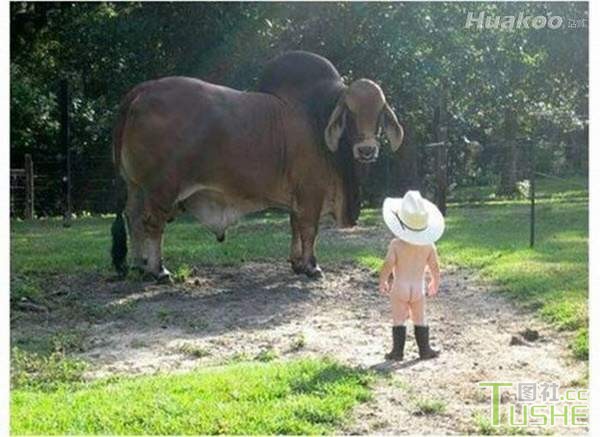 吃饭的时候最怕雷图了！