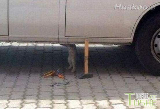 Oh Shit！雷死人不偿命啊！