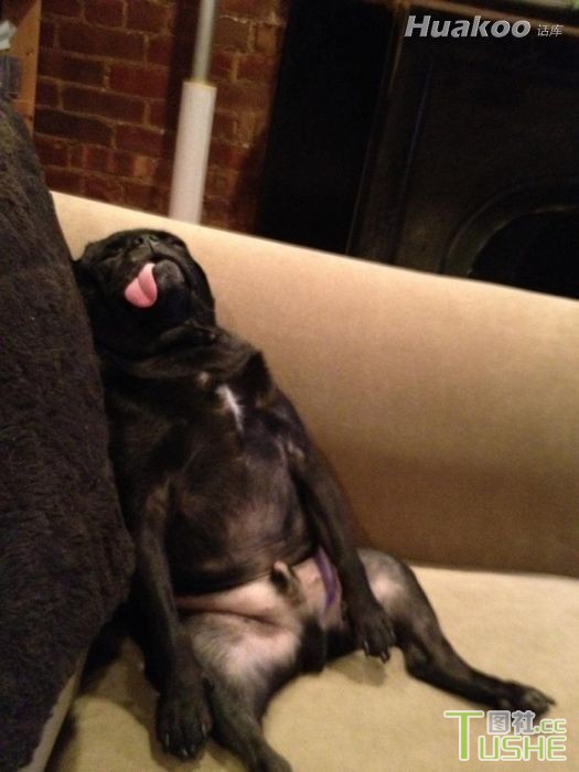 亮点太多 太让人震惊了