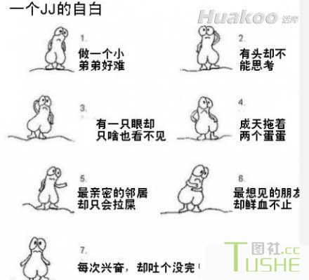 霹雳闪闪 让人乐不可支啊