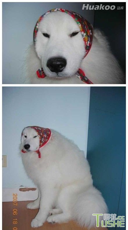 极品搞笑图 笑抽了