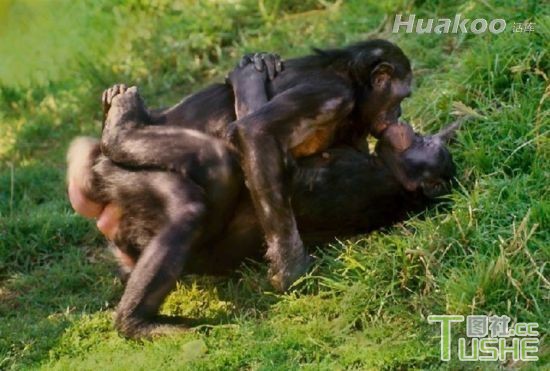 爆笑囧图来袭 神也无法阻挡