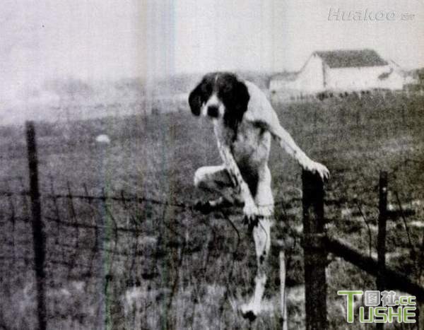 爆笑囧图来袭 神也无法阻挡