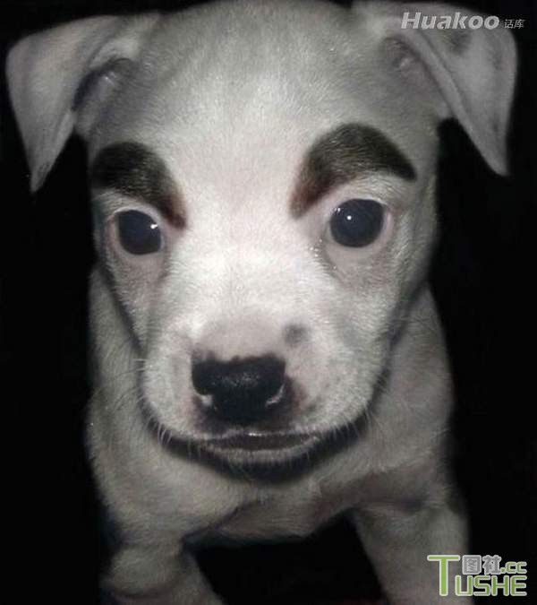 各种爆笑瞬间 一定要忍住！