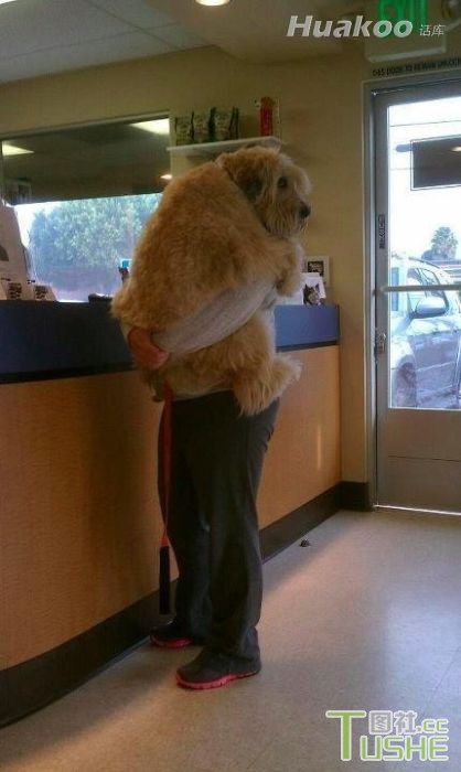 各种爆笑瞬间 一定要忍住！