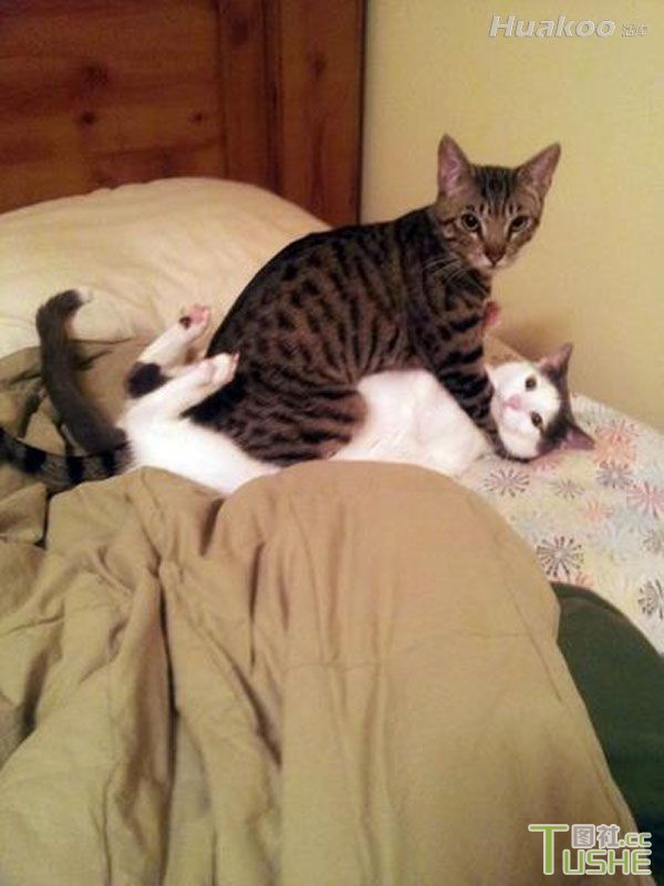 各种爆笑瞬间 一定要忍住！