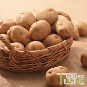 14种常见食物有时堪比砒霜