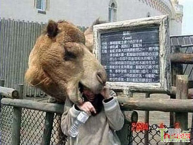 盘点不经意恶搞的爆笑场面