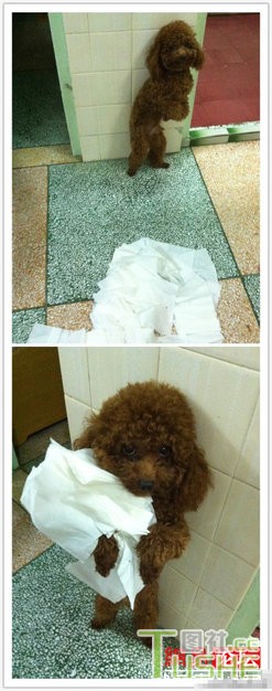 这些牛人真是够猛 丢人不分场合