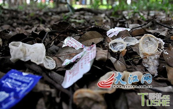 八一公园小树林成性交易场所
