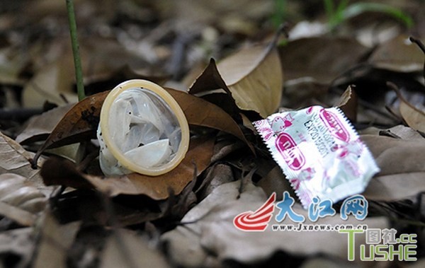 八一公园小树林成性交易场所
