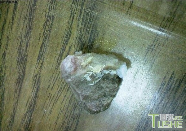 都是吃食堂 这差距也太大了吧