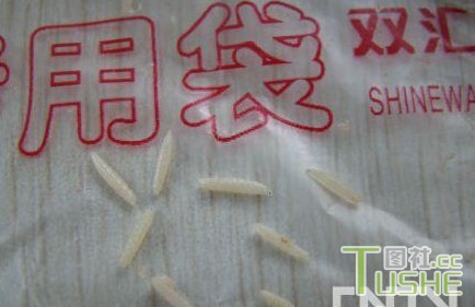 哪些企业制造过“毒”食品？