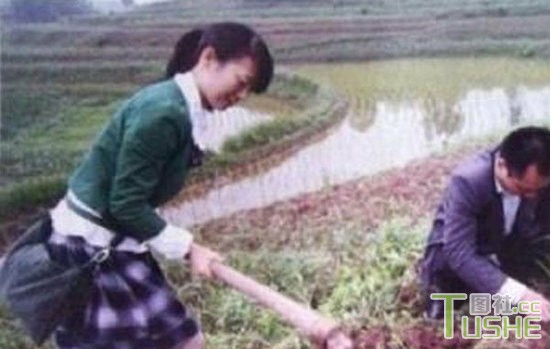 “秀”似乎成了官员的必修课
