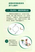 如何家庭预防登革热