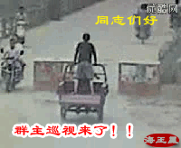 生活中令人发笑的搞笑动态图片