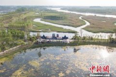 航拍徐州睢宁房湾湿地“黄河一路十八弯”